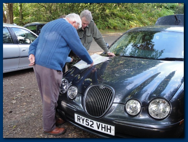 600x449 pixels (156K)